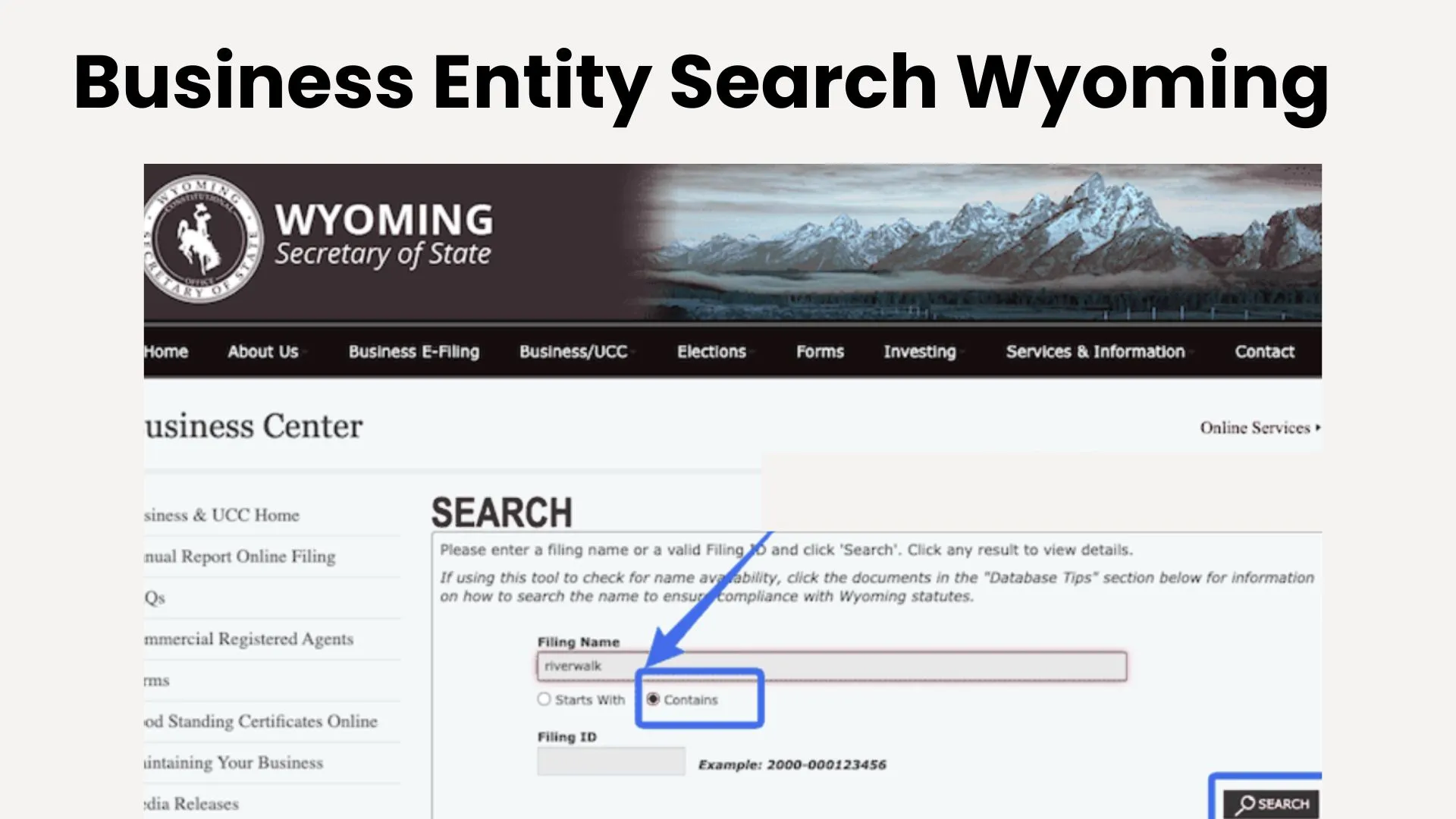 Business Entity Search Wyoming: Free Lookup Guide