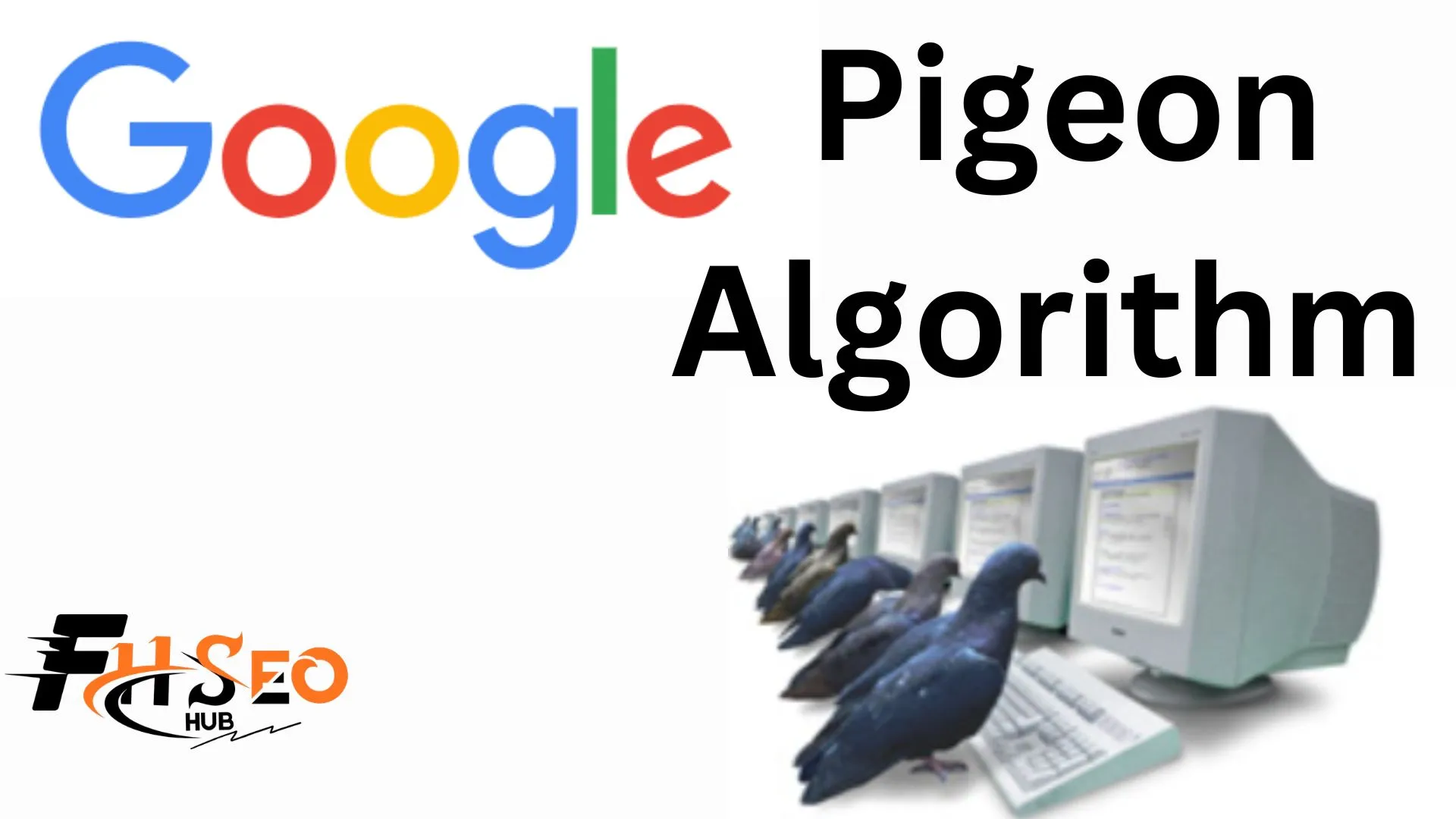 Google Pigeon Algorithm
